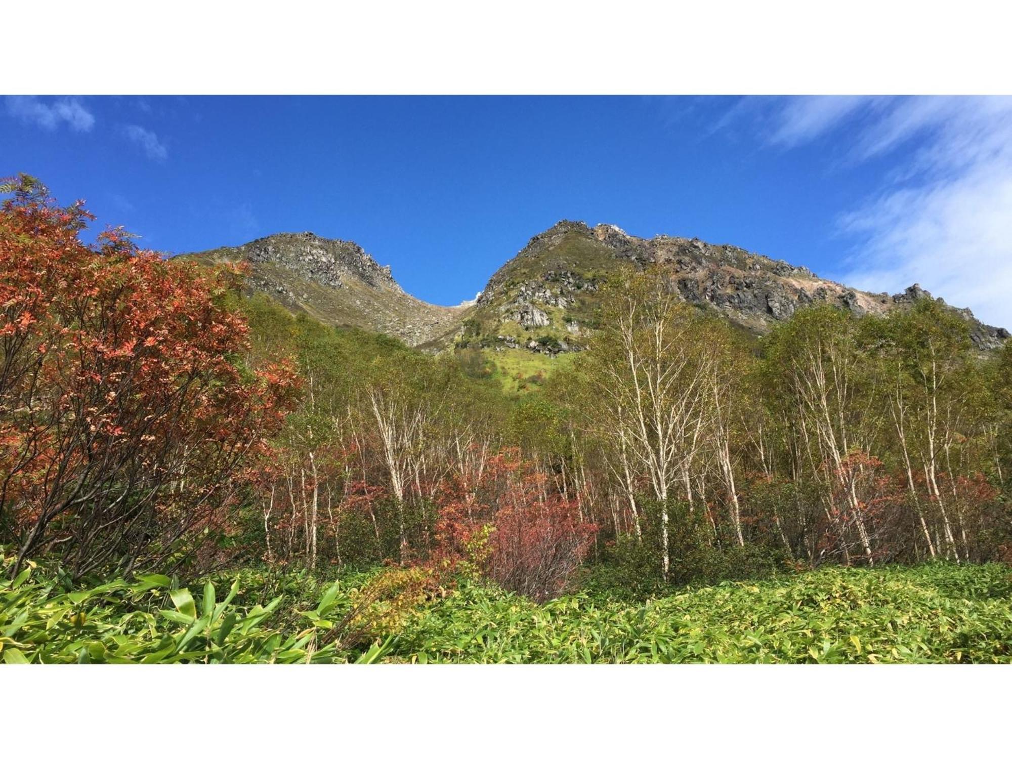 Nakanoyu Onsen Ryokan - Vacation Stay 06697V 松本 外观 照片